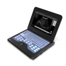 CONTEC CMS600P2-VET Tragbarer Tier-Tragbarer Ultraschall-Scanner für Tierarzt